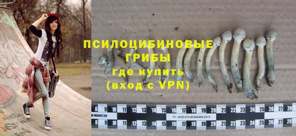 твердый Аркадак