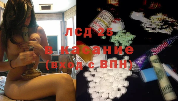 твердый Аркадак