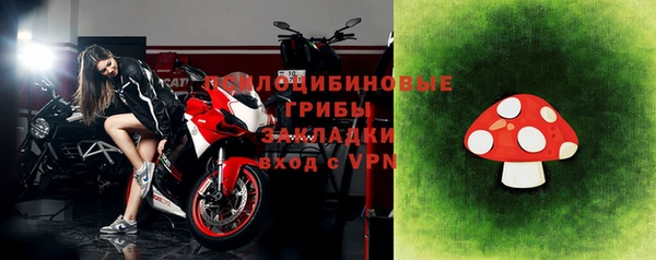 твердый Аркадак