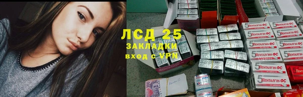 твердый Аркадак