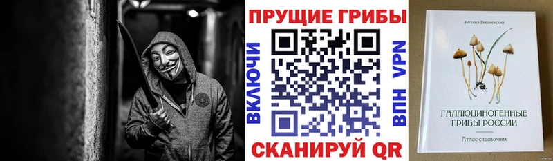 Галлюциногенные грибы прущие грибы  хочу   Правдинск 